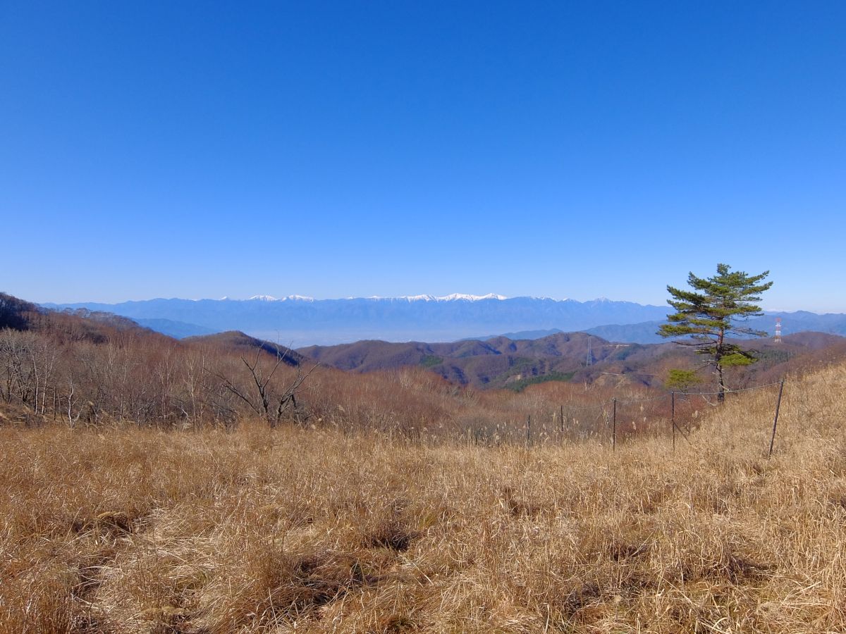 f:id:take-bin:20191208095958j:plain