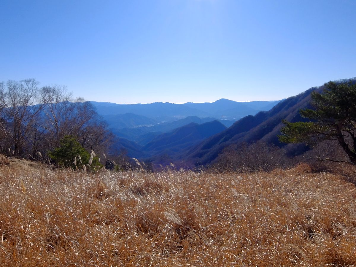 f:id:take-bin:20191208100745j:plain
