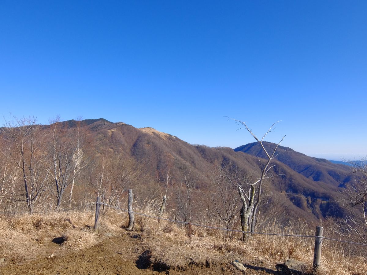 f:id:take-bin:20191208102632j:plain