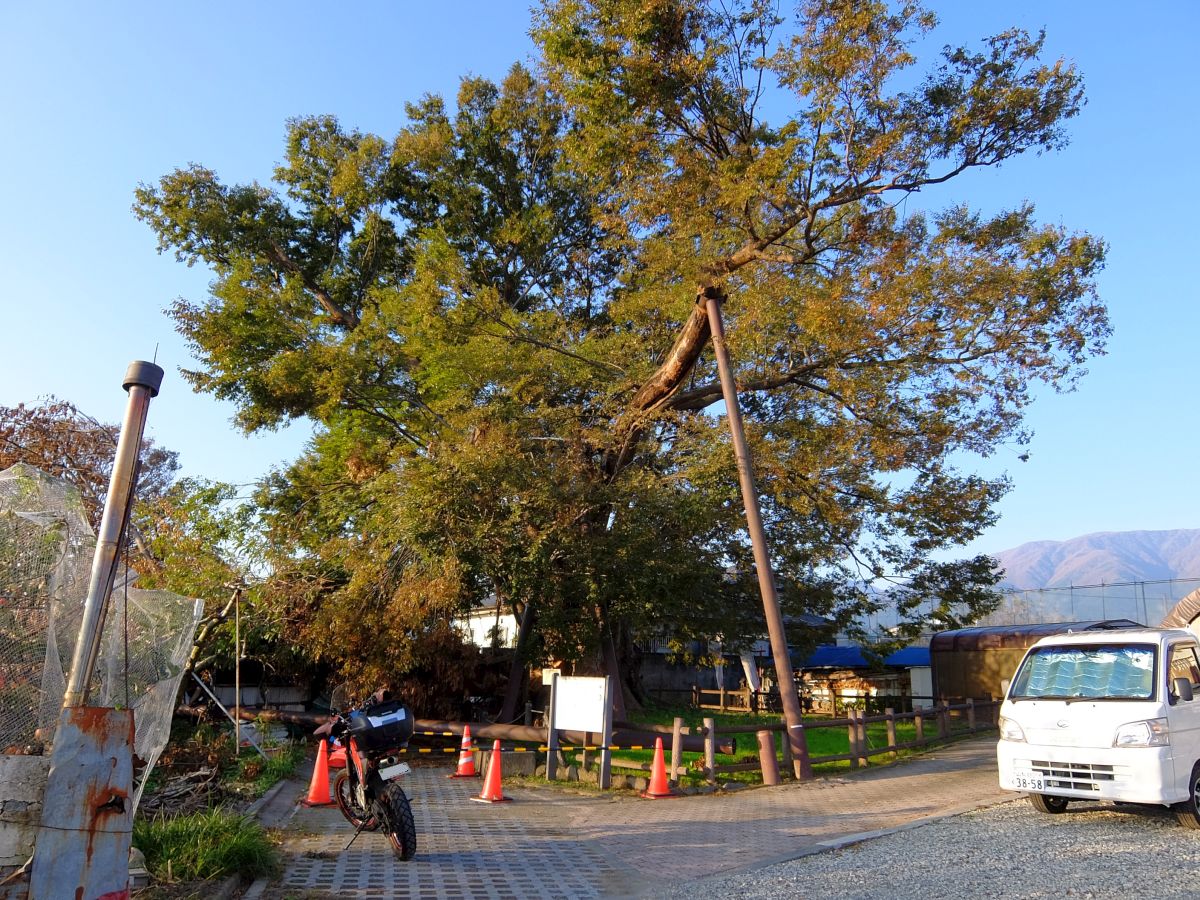 f:id:take-bin:20200224202621j:plain