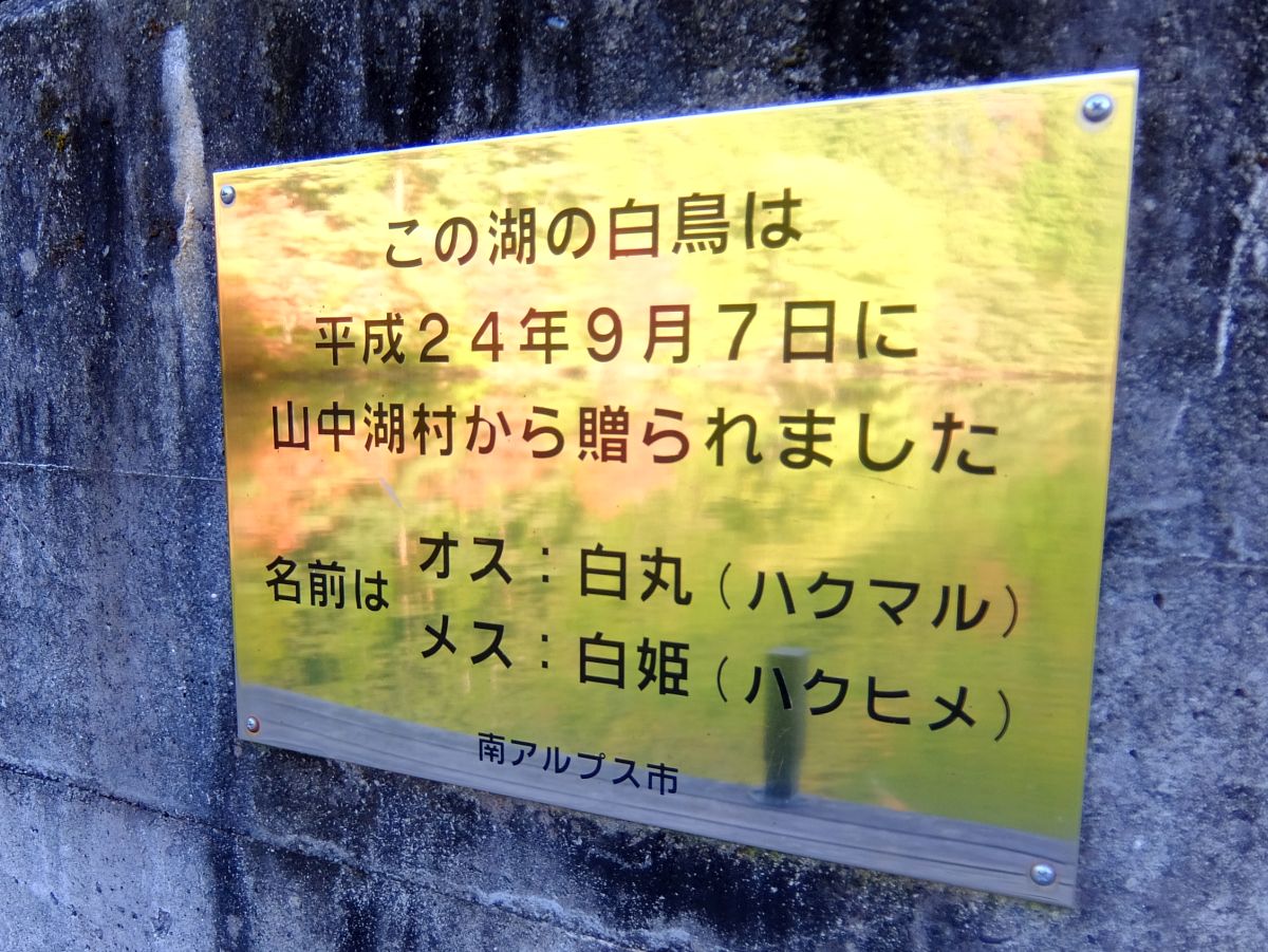 f:id:take-bin:20200224202641j:plain