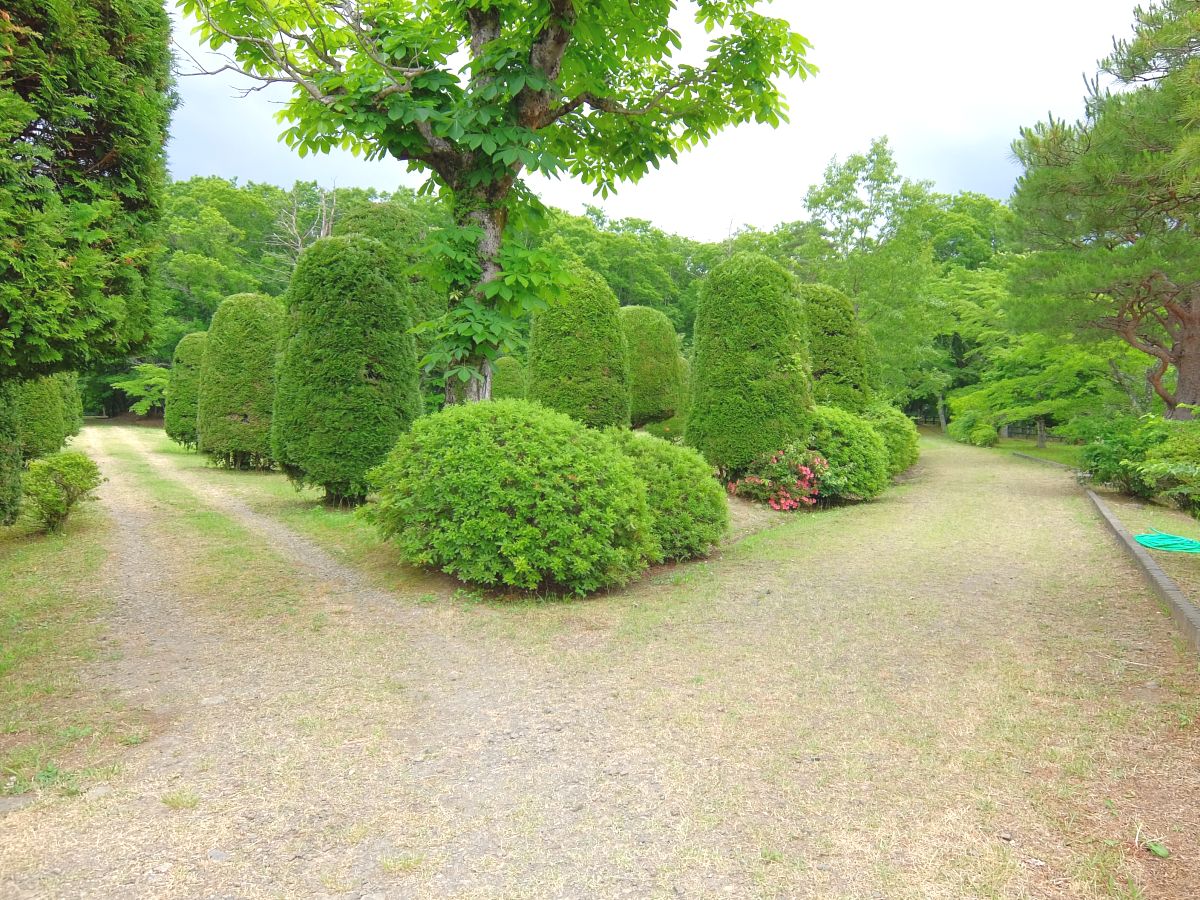 f:id:take-bin:20200705214103j:plain