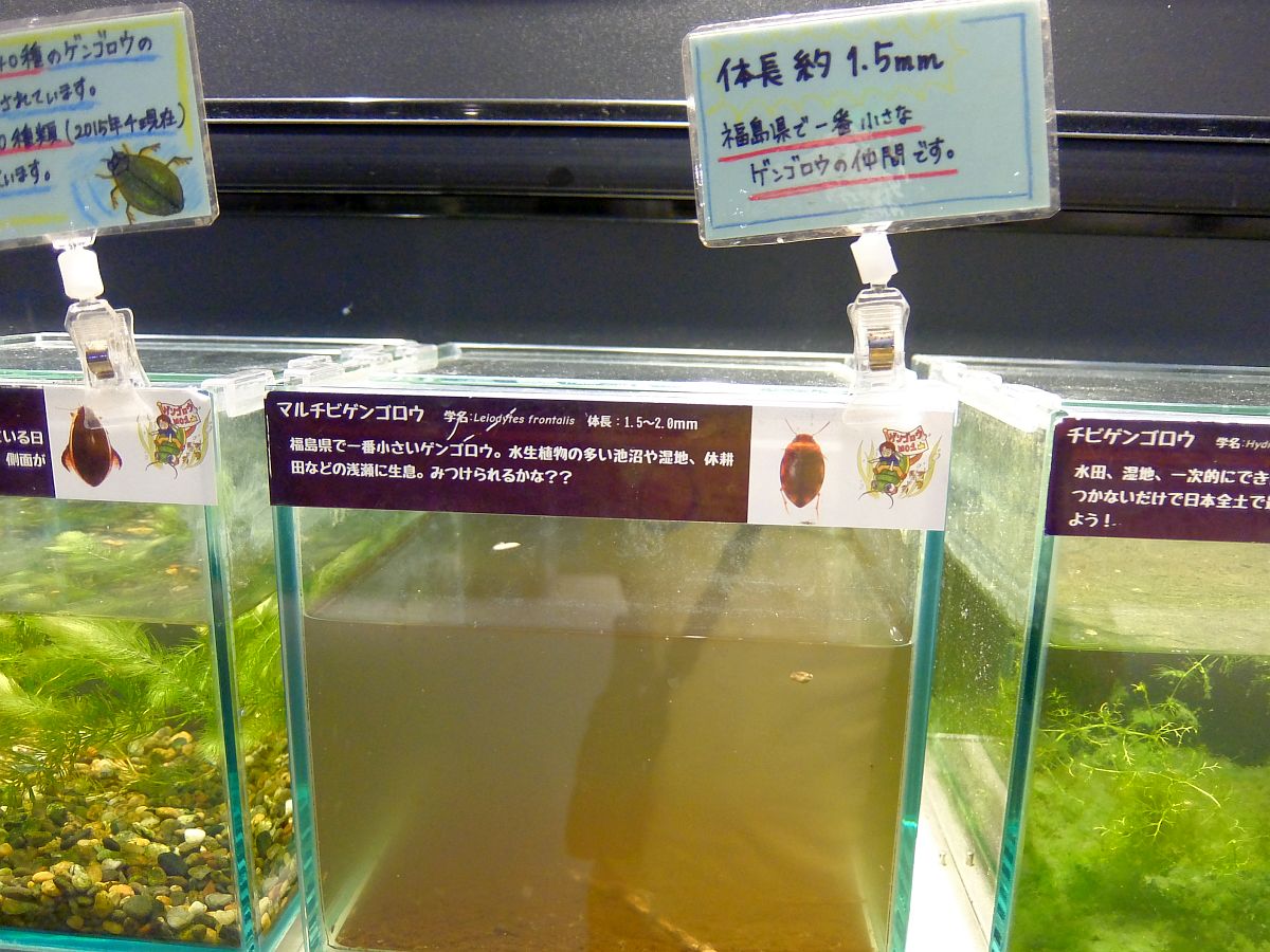 f:id:take-bin:20200705220310j:plain