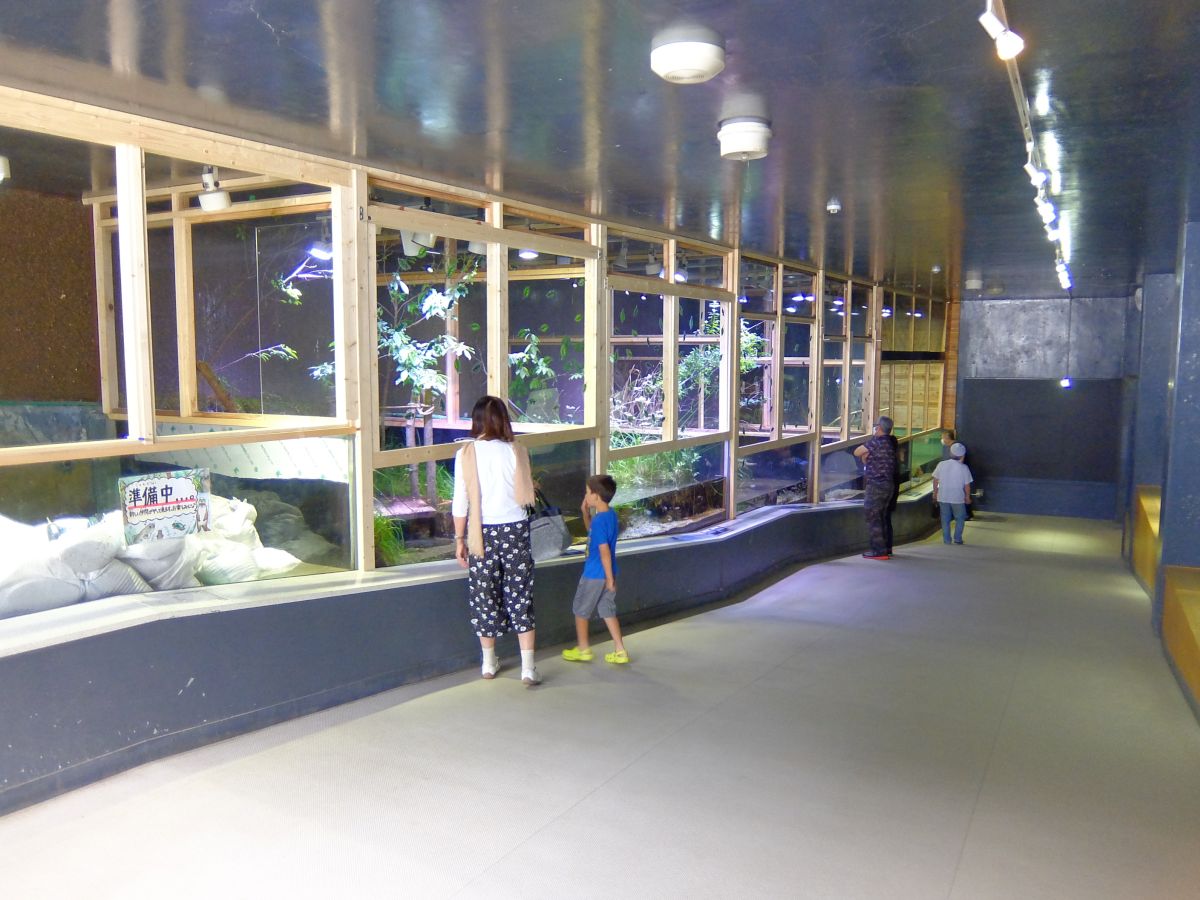 f:id:take-bin:20200705220414j:plain