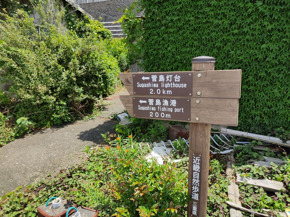 f:id:take-bin:20200831013008j:plain