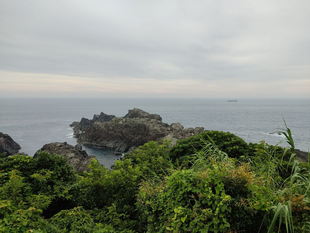 f:id:take-bin:20200831015701j:plain