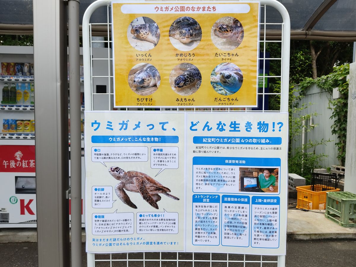 f:id:take-bin:20200831020632j:plain