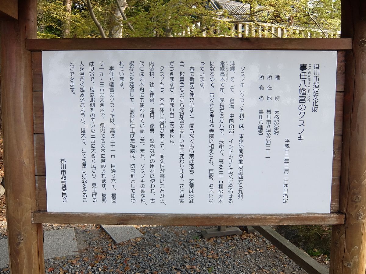 f:id:take-bin:20210518145036j:plain