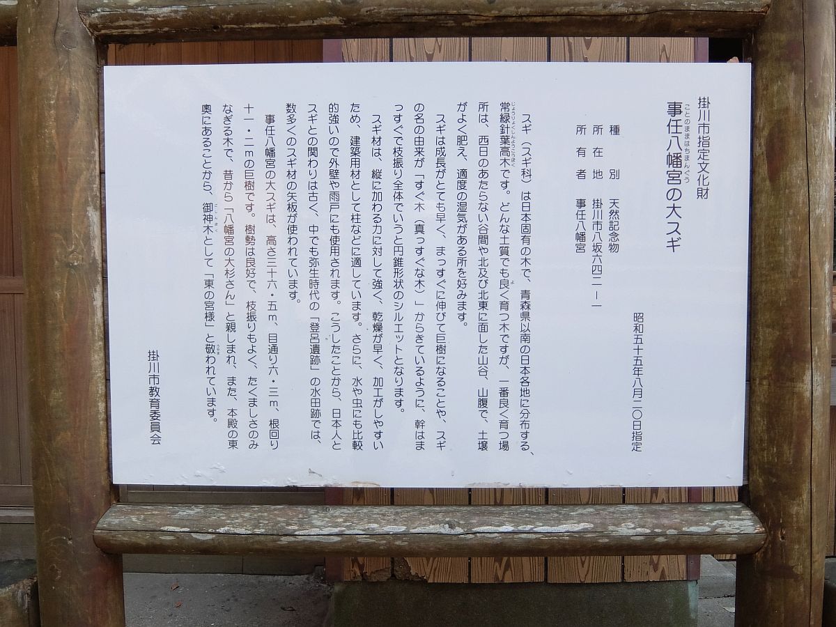 f:id:take-bin:20210518145054j:plain