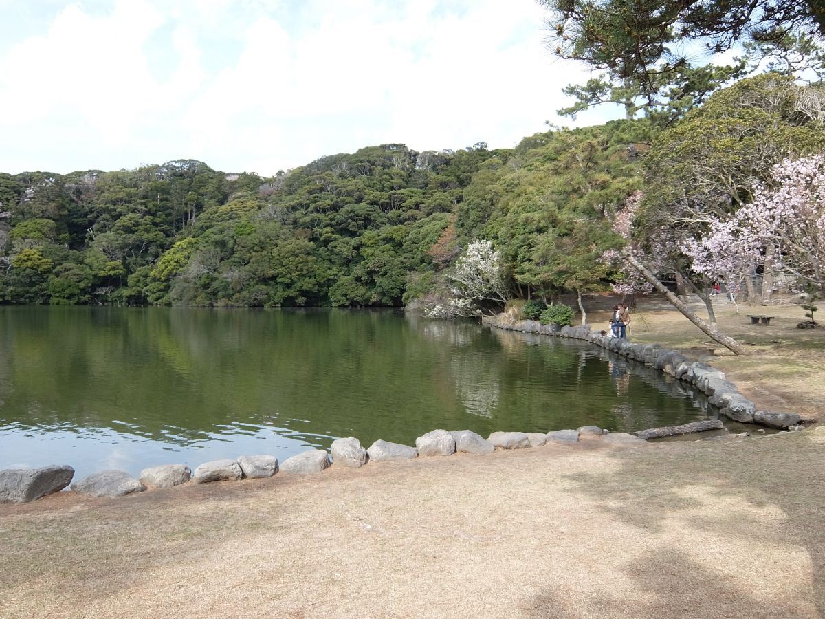 f:id:take-bin:20210518145459j:plain