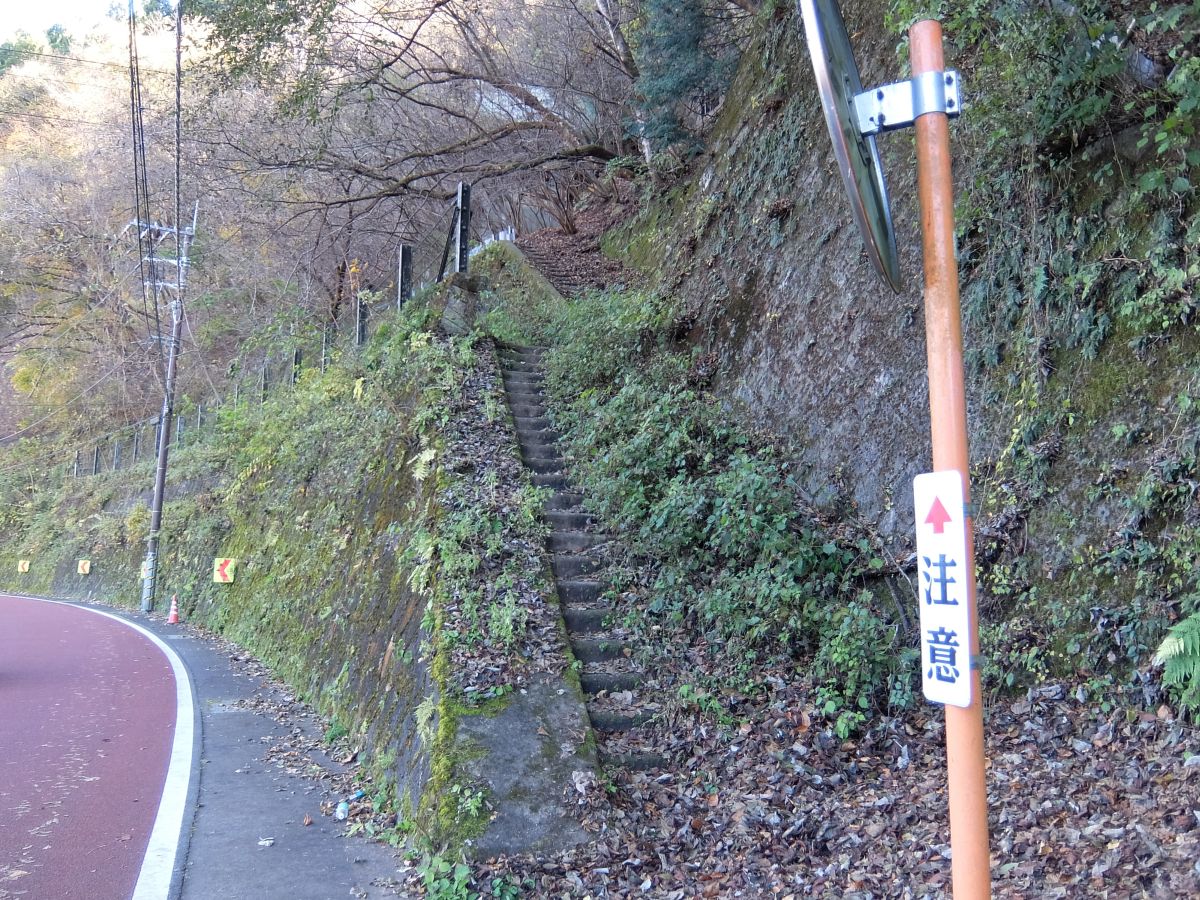 f:id:take-bin:20220119205804j:plain