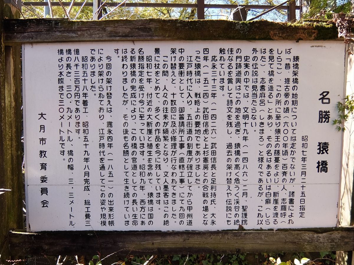 f:id:take-bin:20220120203908j:plain