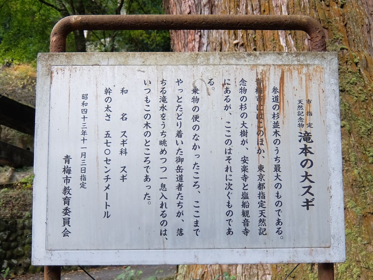 f:id:take-bin:20220123073759j:plain