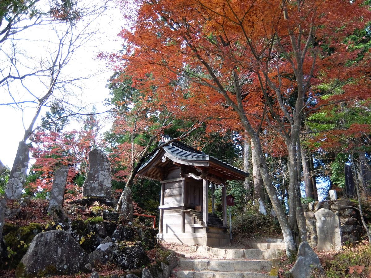 f:id:take-bin:20220123074018j:plain