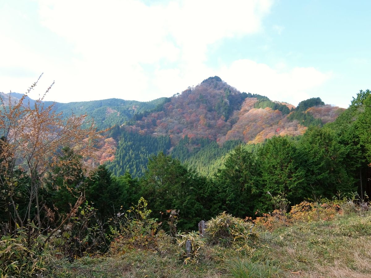 f:id:take-bin:20220123074108j:plain