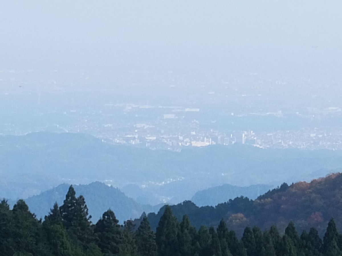 f:id:take-bin:20220123074114j:plain
