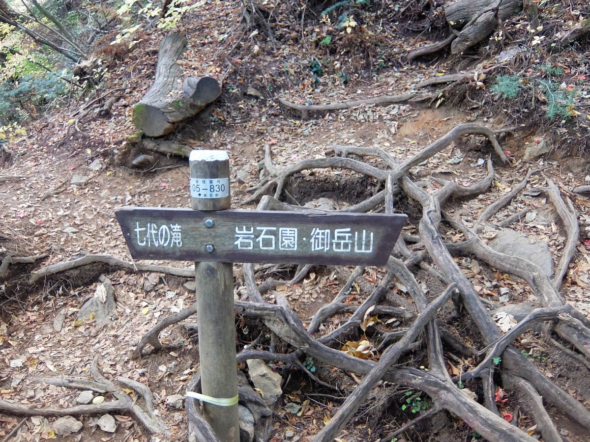 f:id:take-bin:20220123074657j:plain