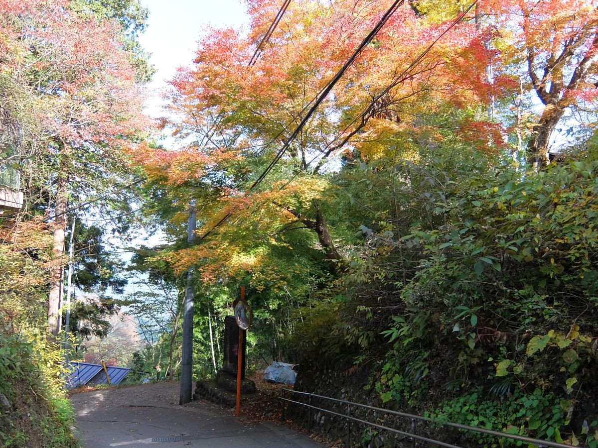 f:id:take-bin:20220123074947j:plain