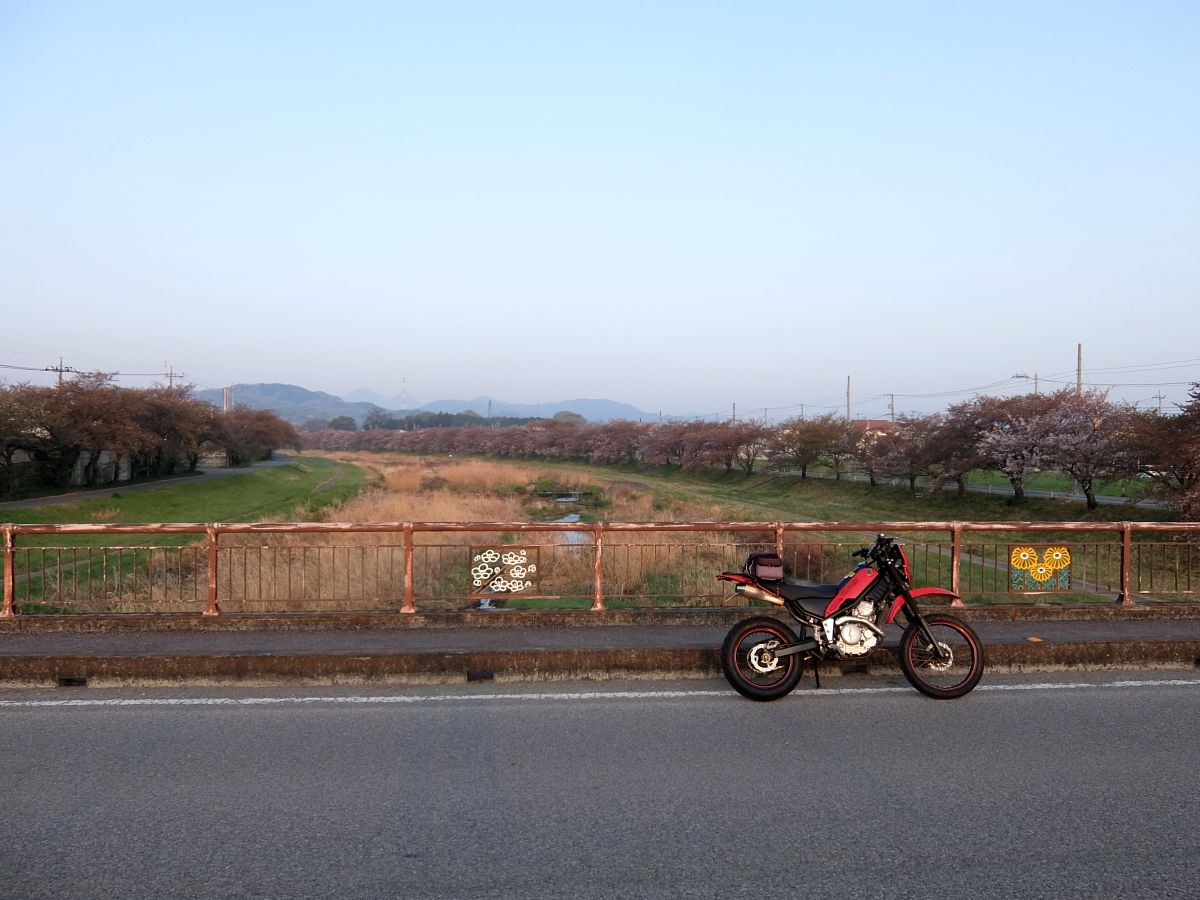 f:id:take-bin:20220414195807j:plain