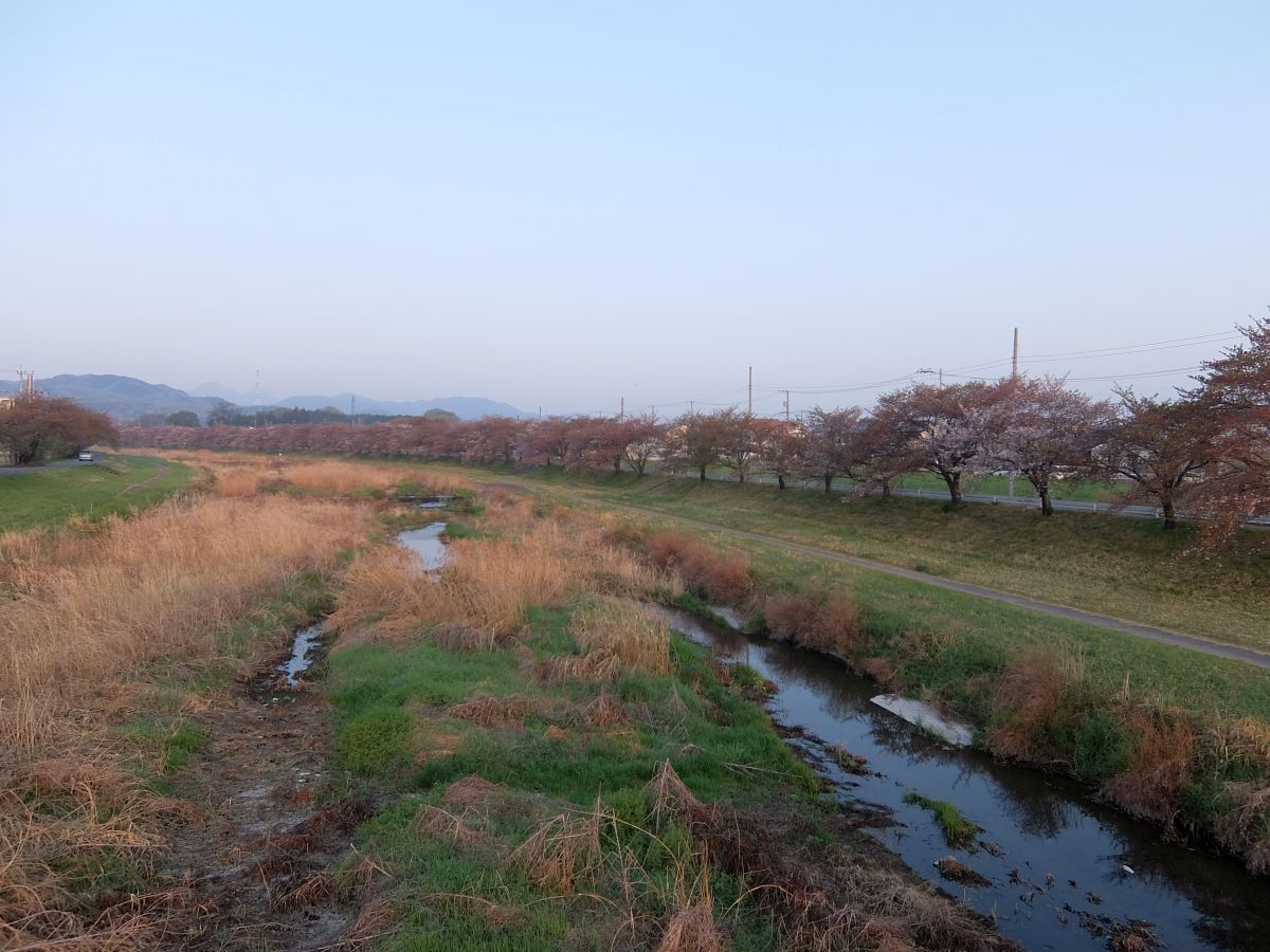 f:id:take-bin:20220414195810j:plain