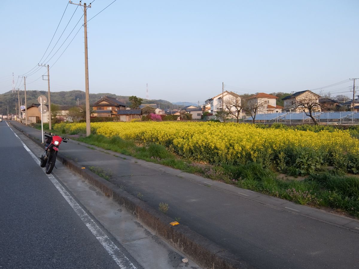 f:id:take-bin:20220414195815j:plain