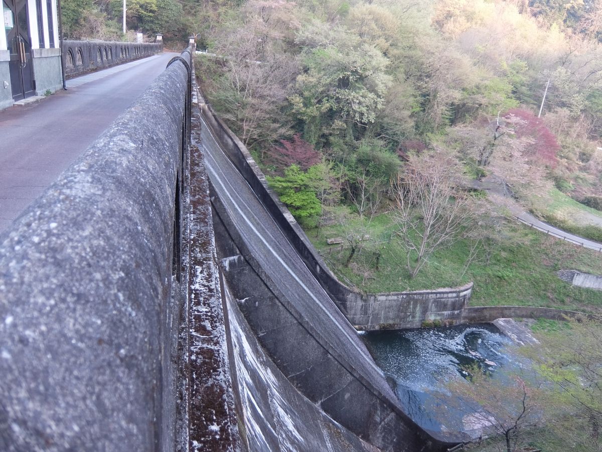 f:id:take-bin:20220414195839j:plain