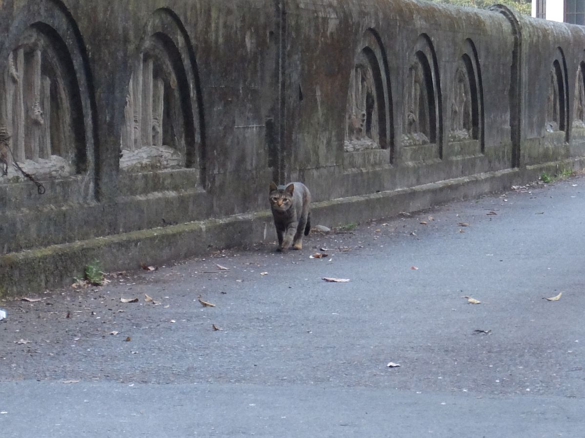 f:id:take-bin:20220414195852j:plain