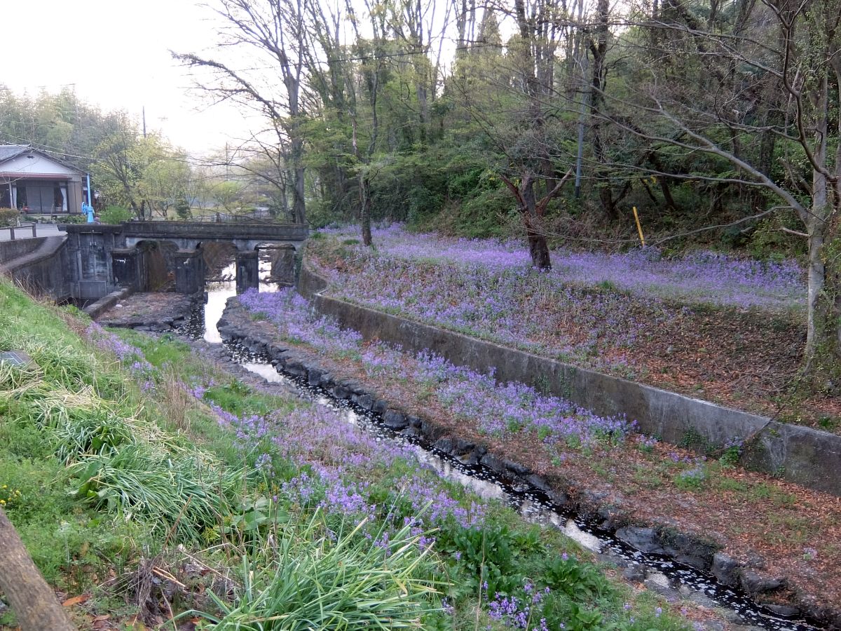 f:id:take-bin:20220414195858j:plain