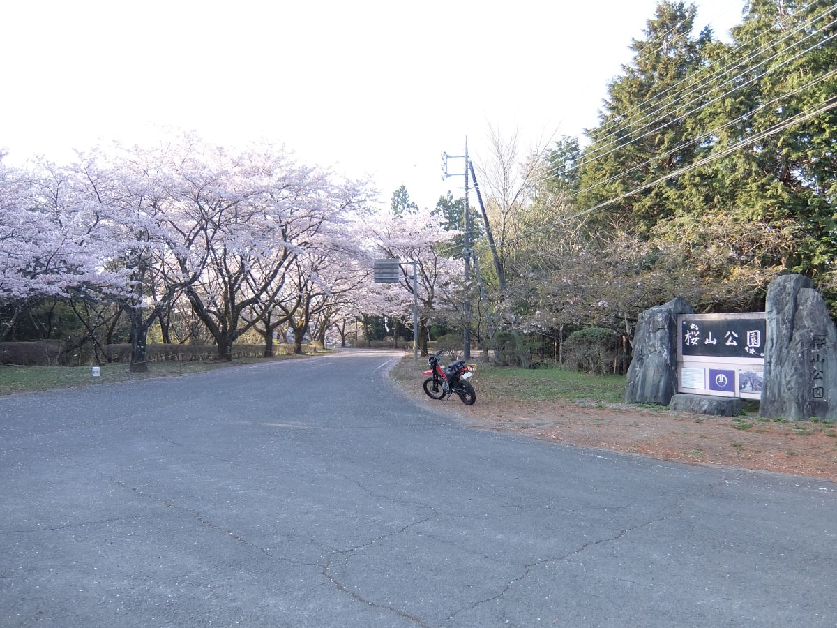 f:id:take-bin:20220414195907j:plain