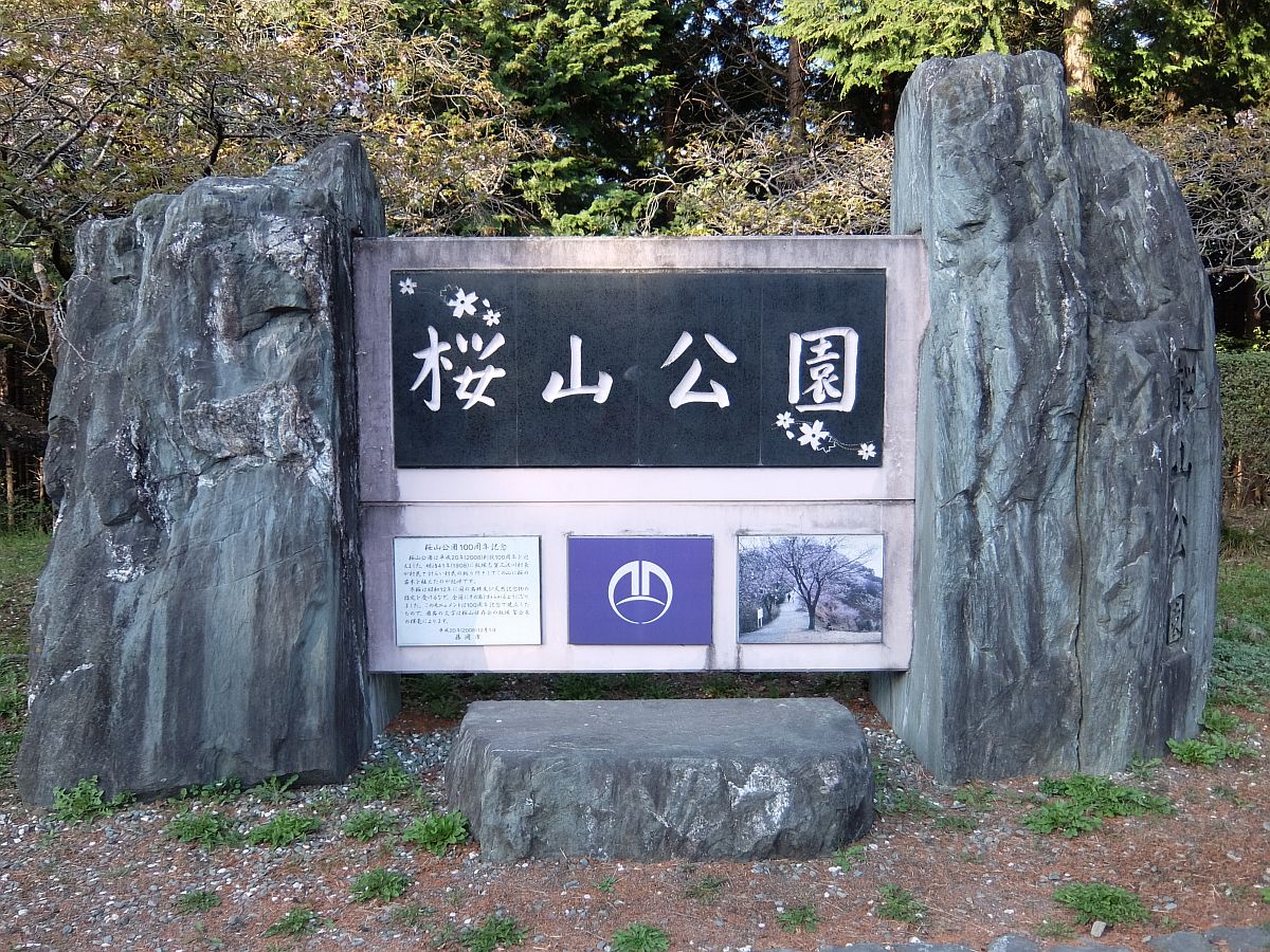 f:id:take-bin:20220414195911j:plain