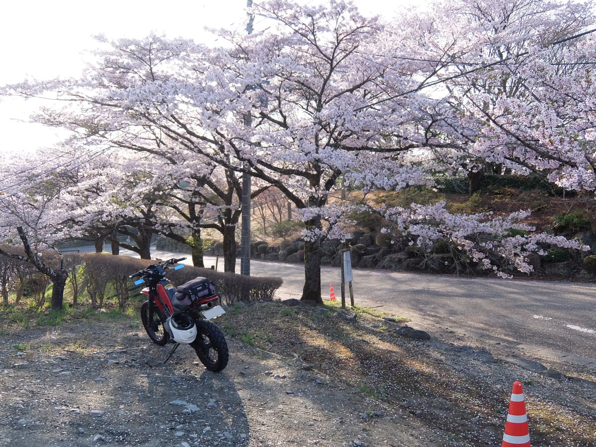 f:id:take-bin:20220414200033j:plain