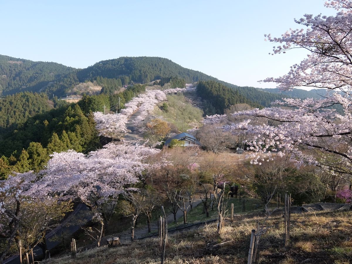 f:id:take-bin:20220414200042j:plain