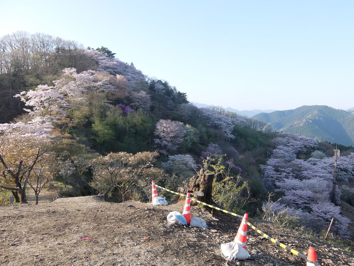 f:id:take-bin:20220414200048j:plain