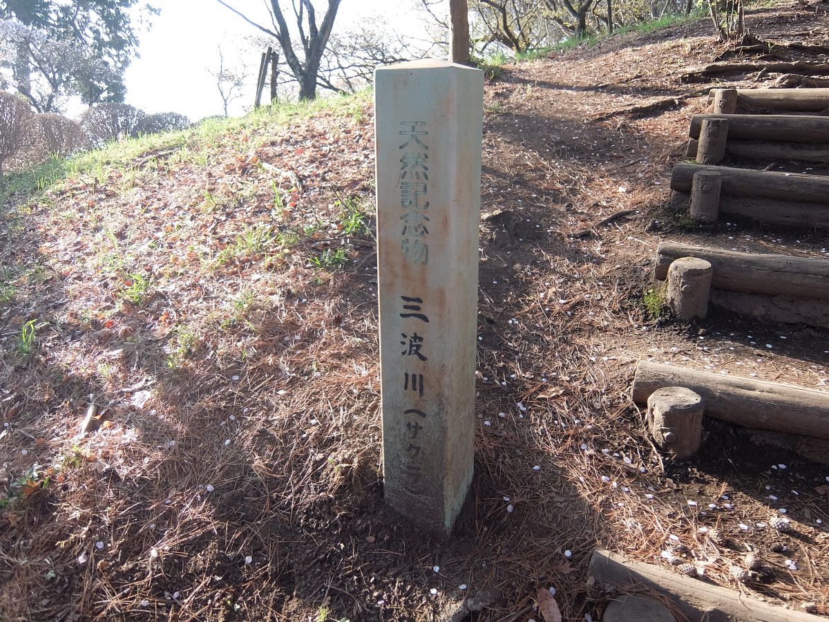 f:id:take-bin:20220414200058j:plain