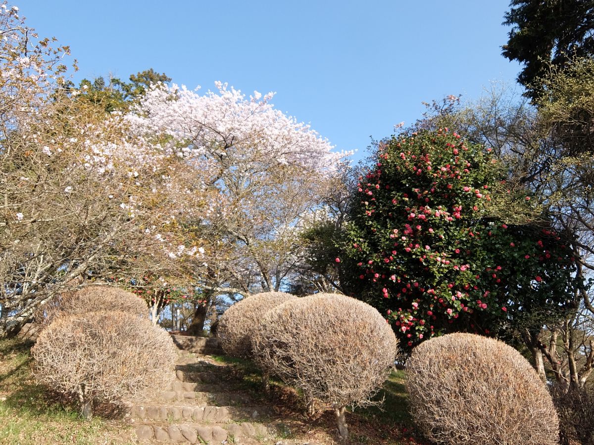 f:id:take-bin:20220414200113j:plain