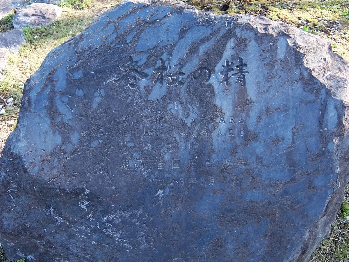 f:id:take-bin:20220414200134j:plain