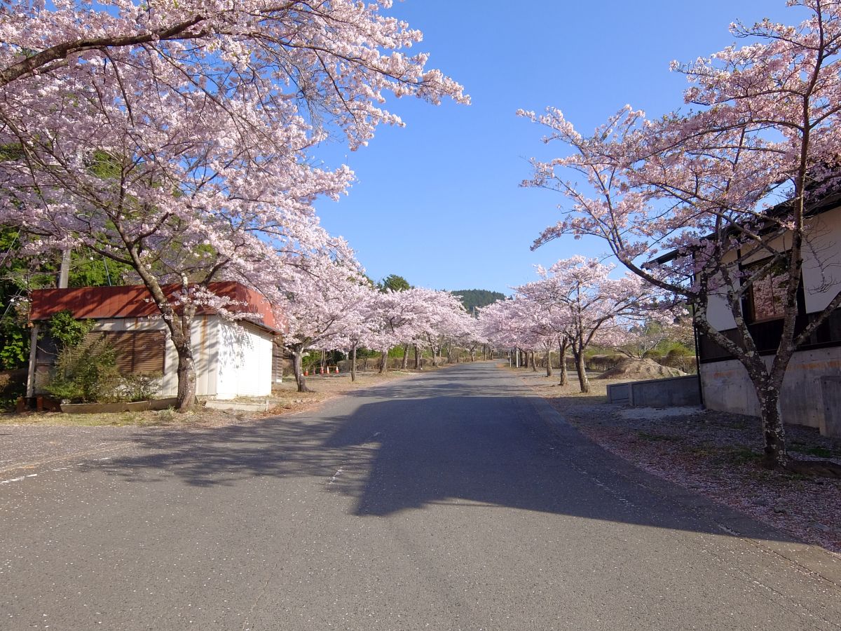 f:id:take-bin:20220414200140j:plain