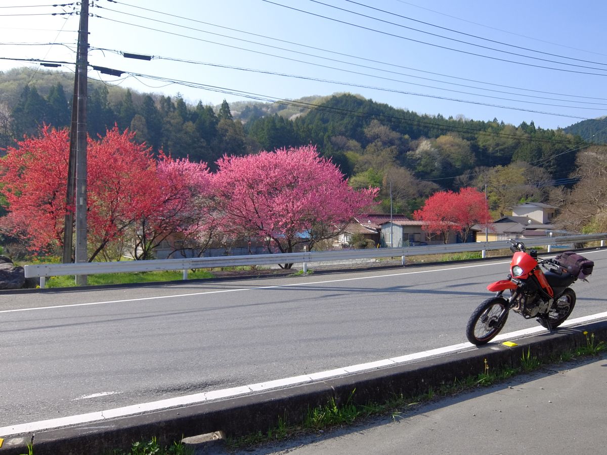 f:id:take-bin:20220414200143j:plain