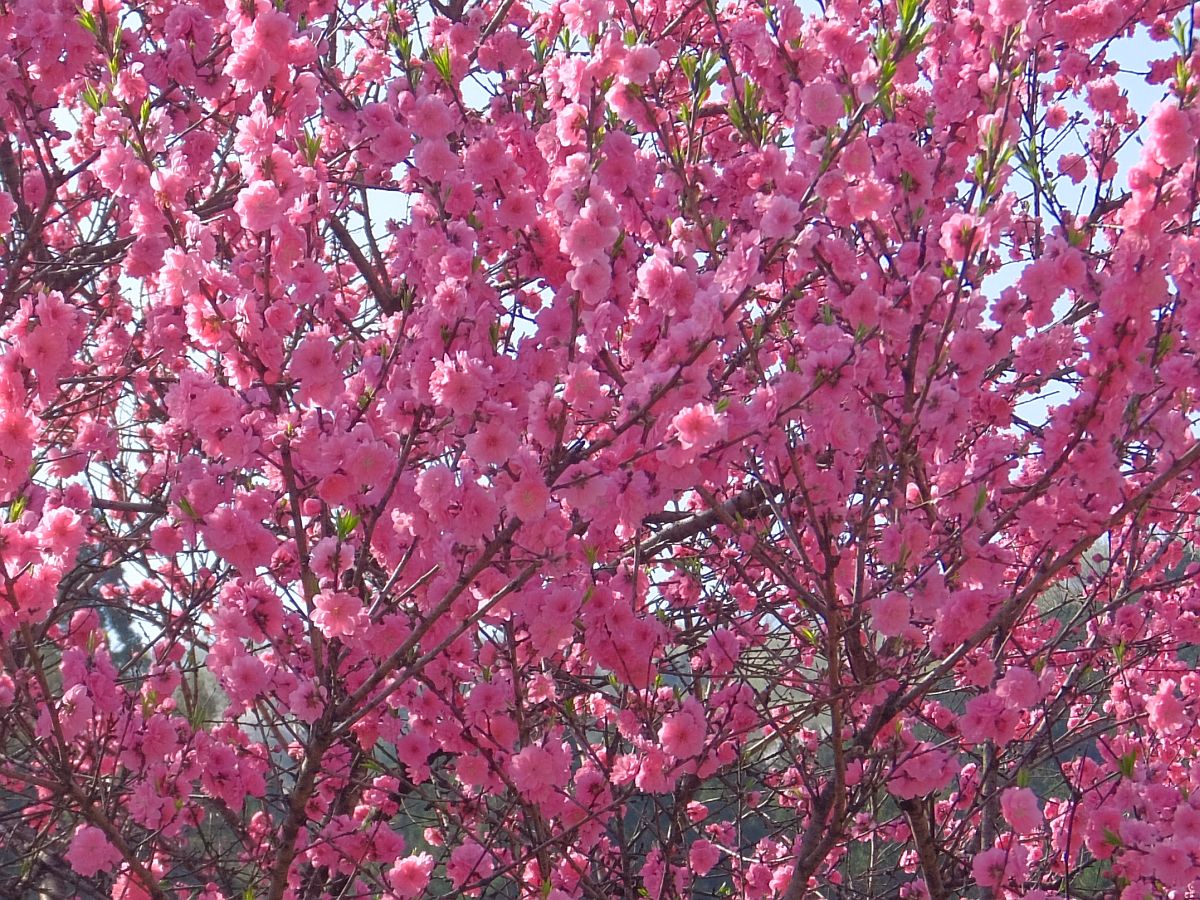 f:id:take-bin:20220414200146j:plain