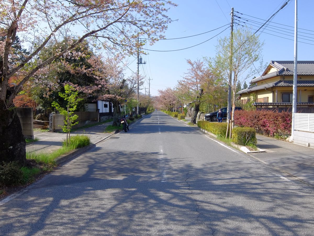 f:id:take-bin:20220414200149j:plain