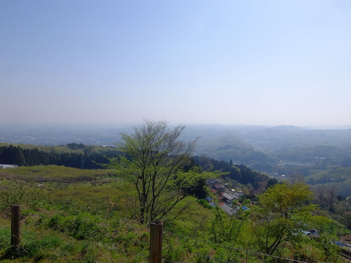 f:id:take-bin:20220414200300j:plain