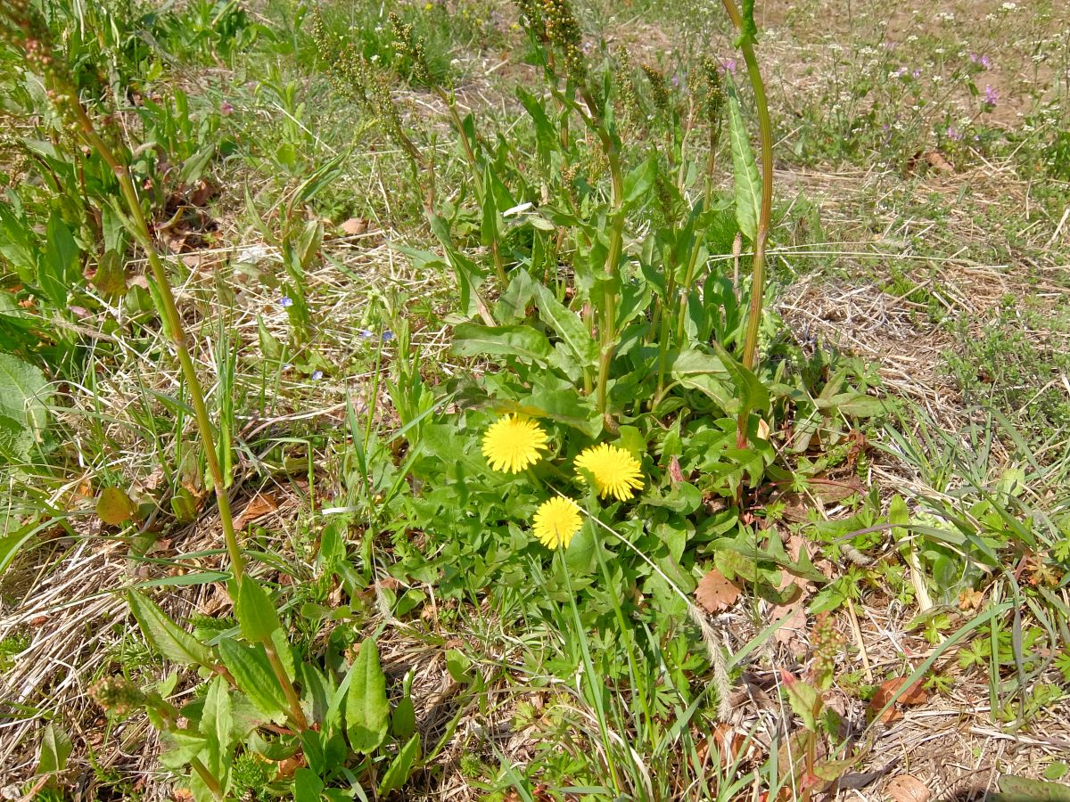 f:id:take-bin:20220414200310j:plain