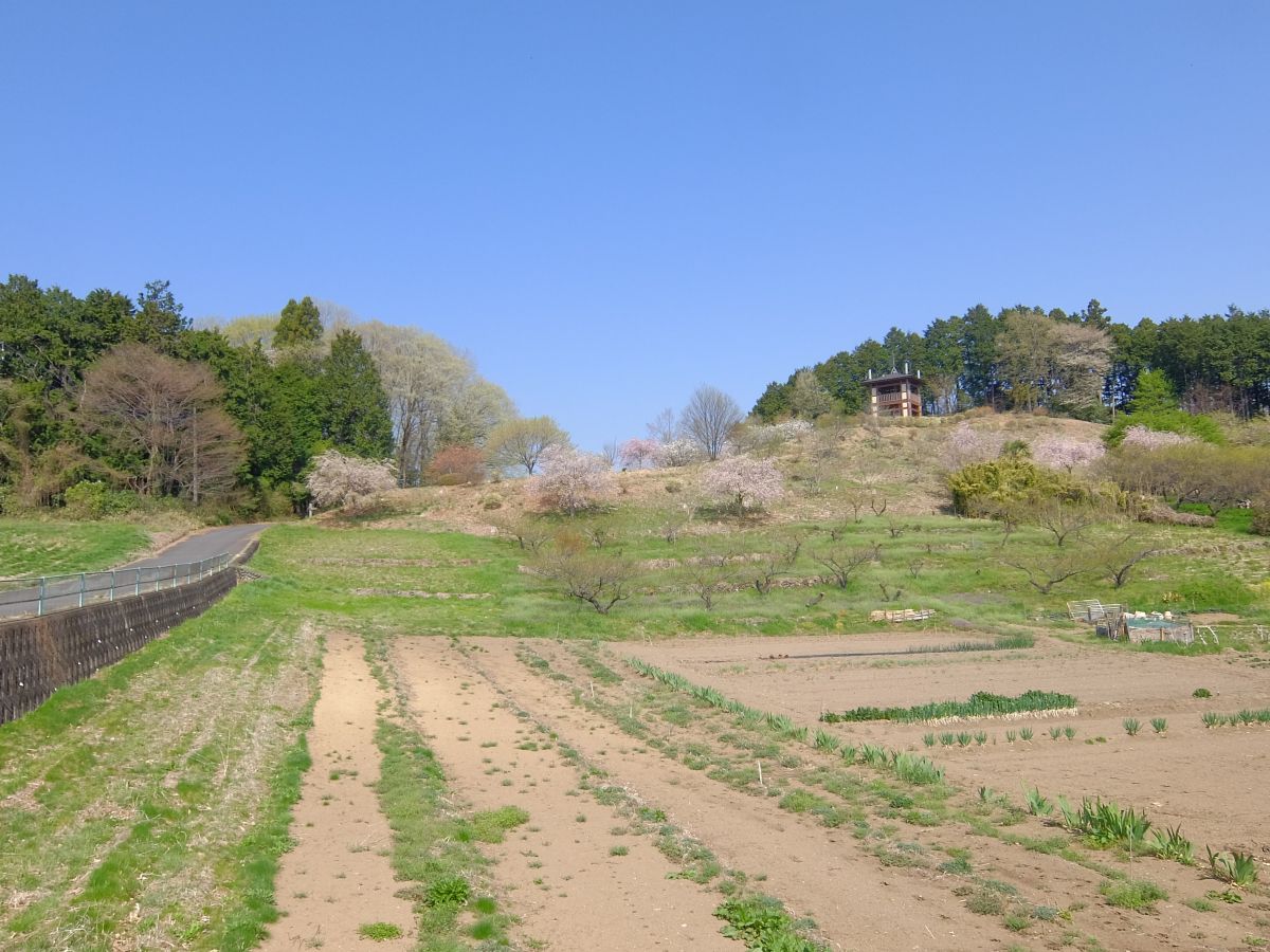 f:id:take-bin:20220414200317j:plain