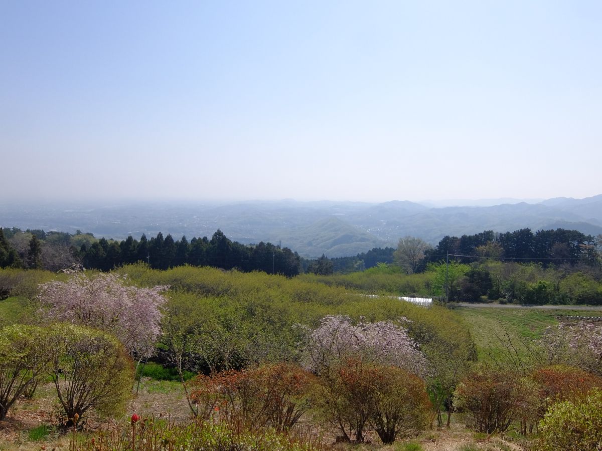 f:id:take-bin:20220414200336j:plain