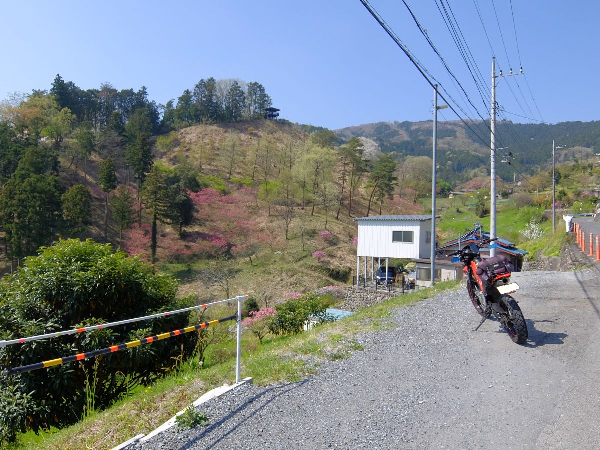 f:id:take-bin:20220414200347j:plain