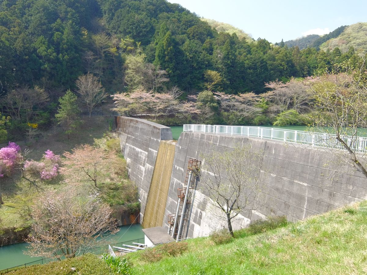 f:id:take-bin:20220414200407j:plain