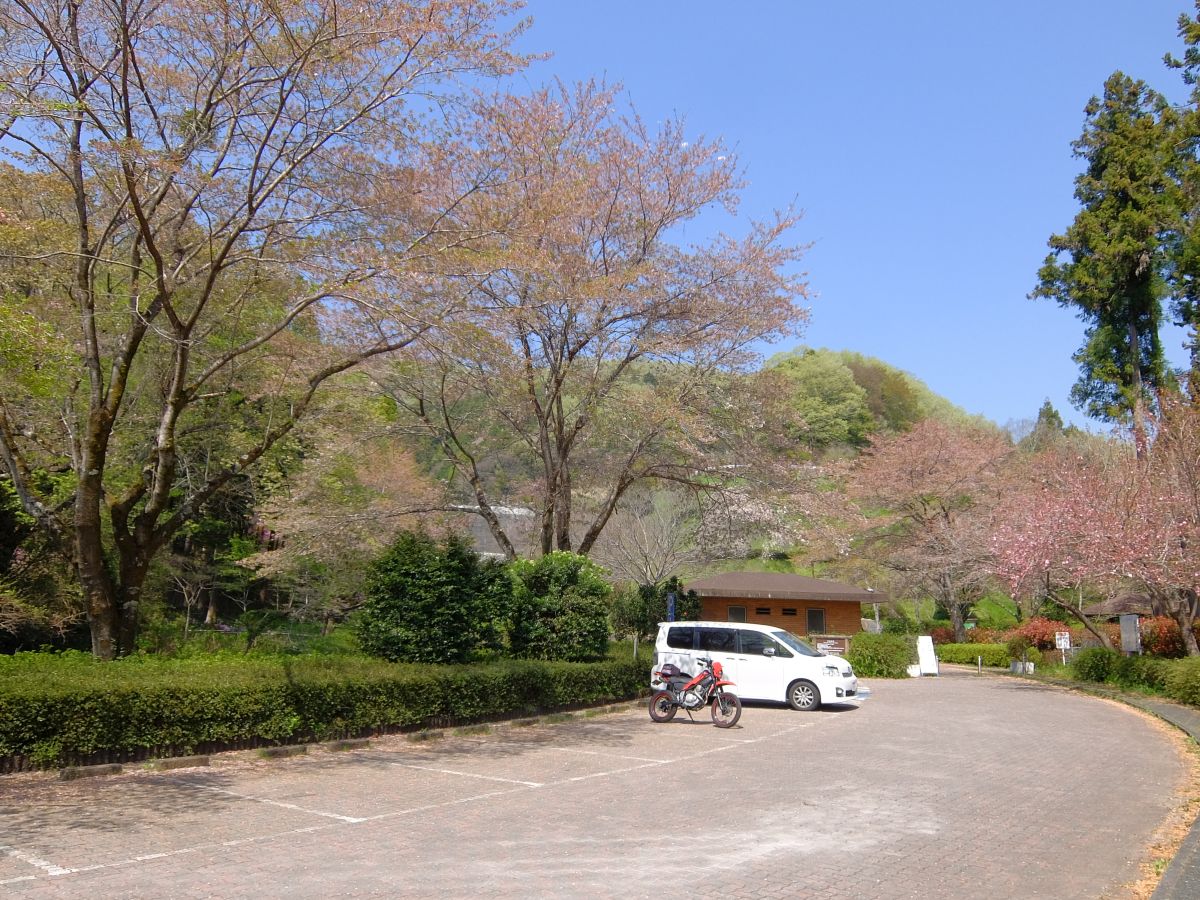 f:id:take-bin:20220414200420j:plain