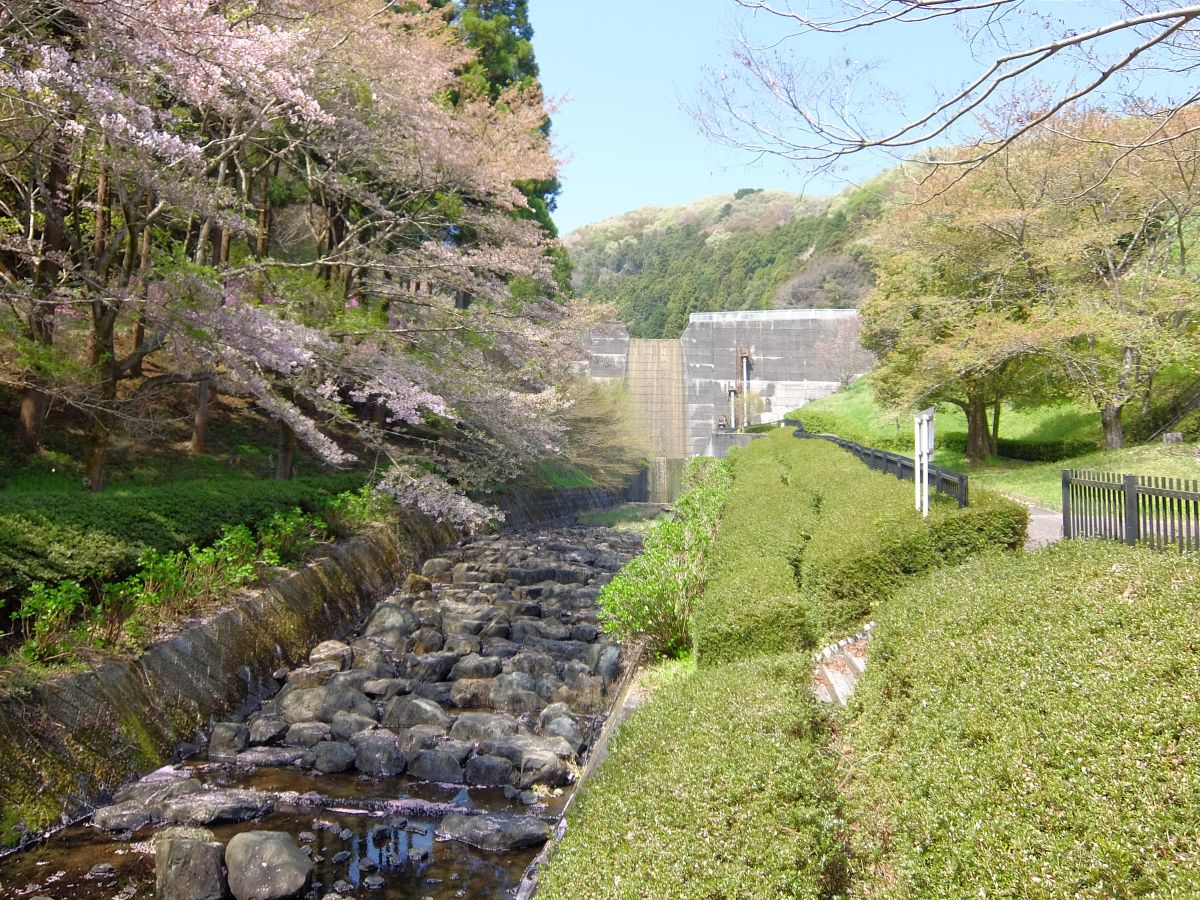 f:id:take-bin:20220414200424j:plain