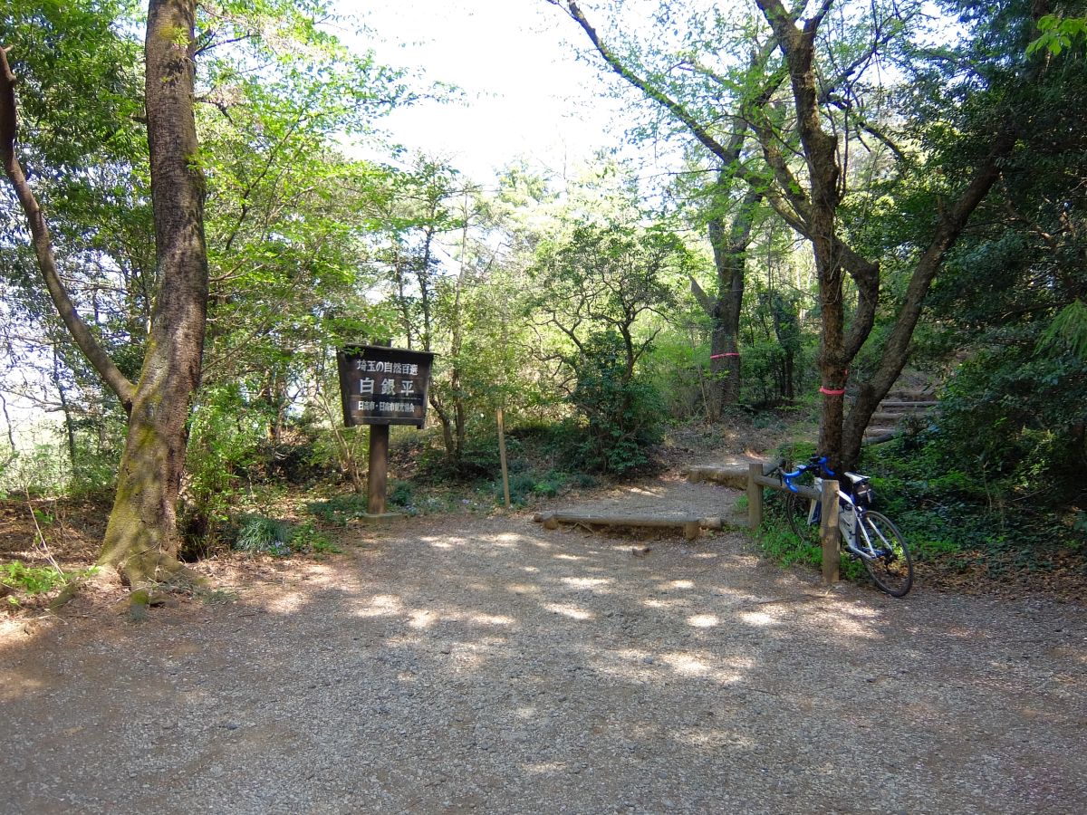 f:id:take-bin:20220414200523j:plain