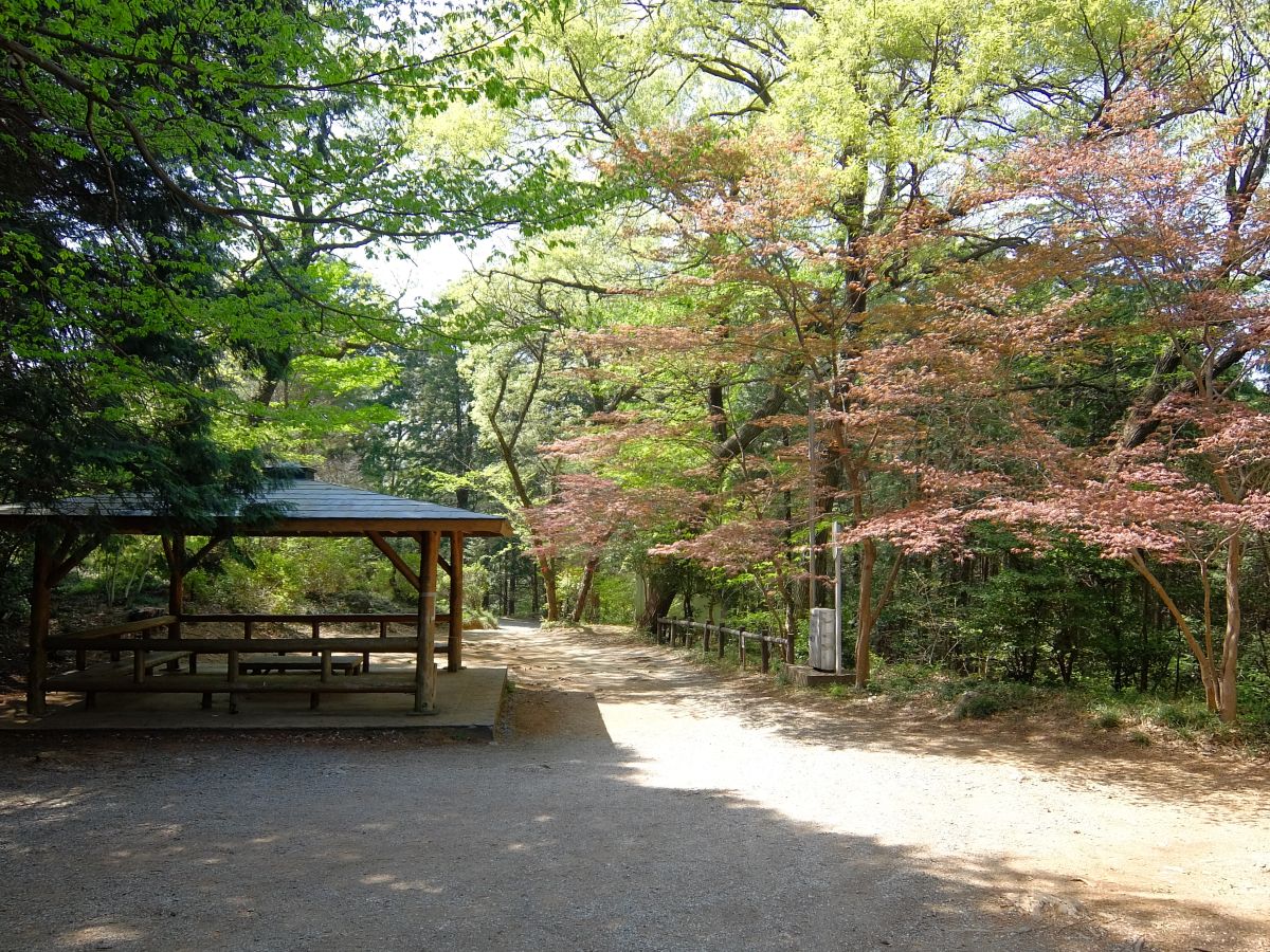 f:id:take-bin:20220414200539j:plain